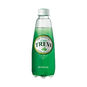 롯데칠성 트레비 300ml 40입 4종 택1