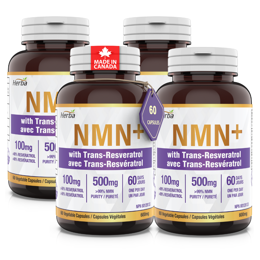 NMN 500mg 60식물성캡슐 <b>트렌스 레스베라트롤 100mg</b> 함유 허바캐나다  4개  60정