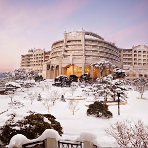 양양쏠비치 호텔 [룸온리] 디럭스 스위트 패밀리트윈(방1) 스탠다드뷰 3인기준