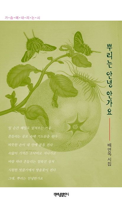 뿌리는 안녕 한가요