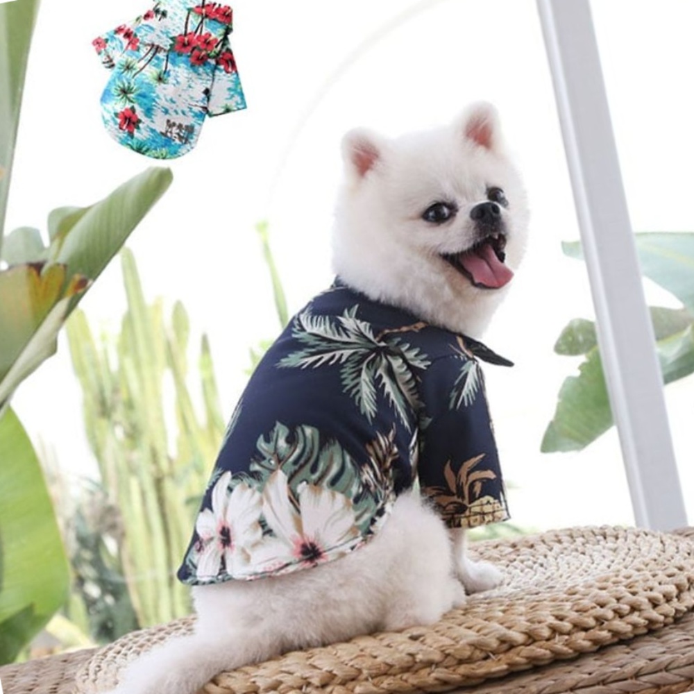 펫팸족 여행용품