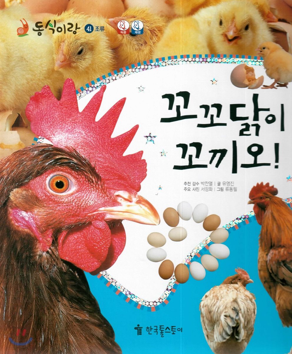 동식이랑 41 꼬꼬닭이 꼬끼오!