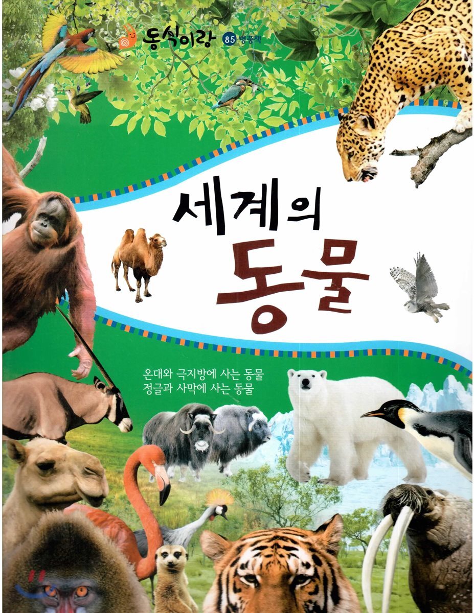 동식이랑 85 세계의 동물