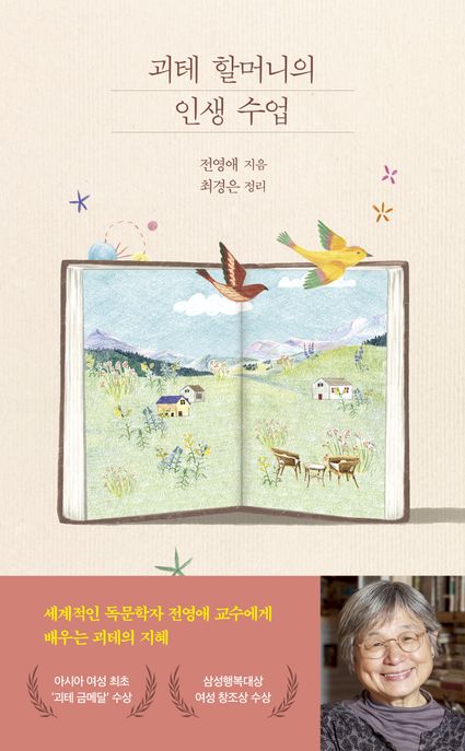 괴테 할머니의 인생 수업 표지
