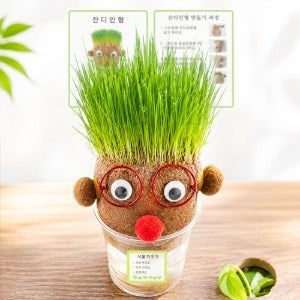 잔디인형 만들기 키트 키우기 기르기 식물키우기(설명서포함)