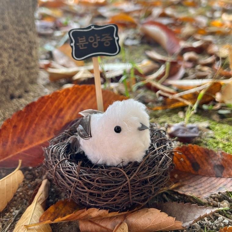 반려 뱁새 오목눈이 미니 인형 키링 귀여운 친구 생일 선물 머리핀 웃긴 새 애착 백참 재밌는 열쇠 고리