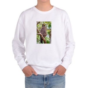 [하프클럽/알티피아]맨투맨 매 사냥 맹금류 사냥꾼 프린트티셔츠