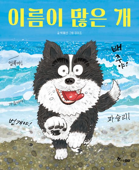 이름이 많은 개 표지
