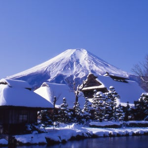 [가이드포함] 후지산 파노라마 일일 투어 (도쿄 출발)