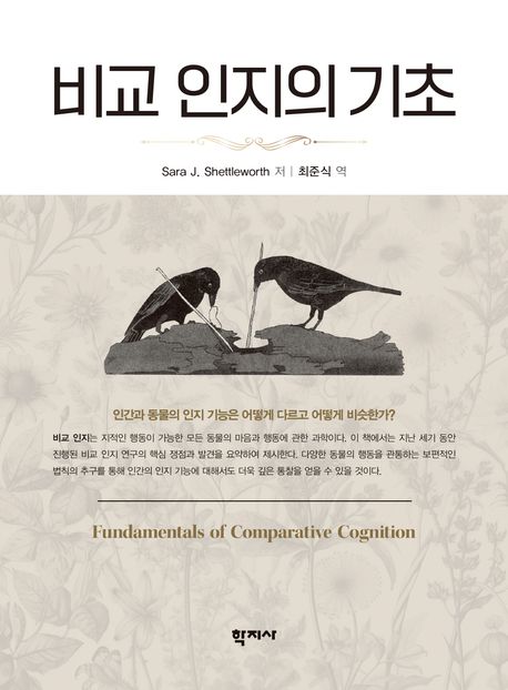 비교 인지의 기초