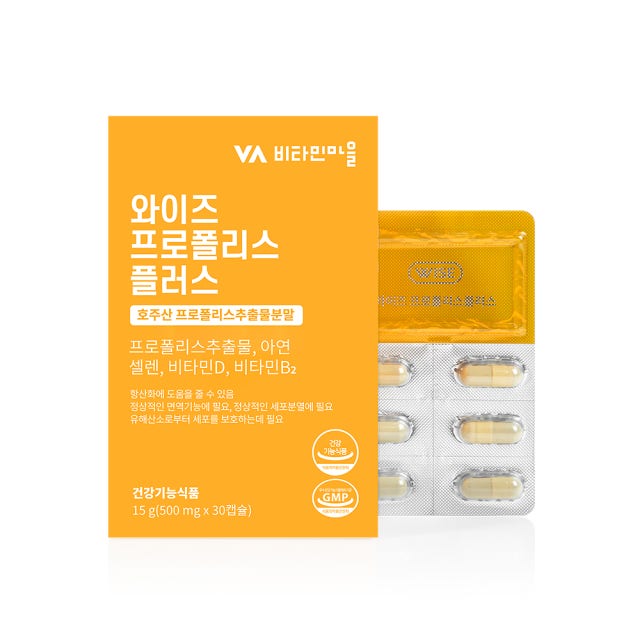 비타민마을 와이즈 프로폴리스 플러스 500mg x 30캡슐, 1개