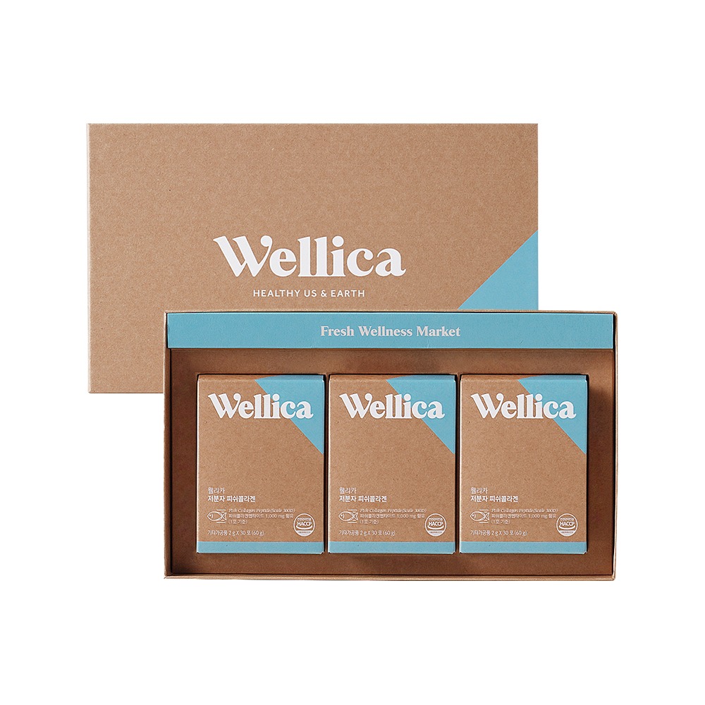 웰리카 저분자 피쉬콜라겐 선물세트 2g x 90포, 1개