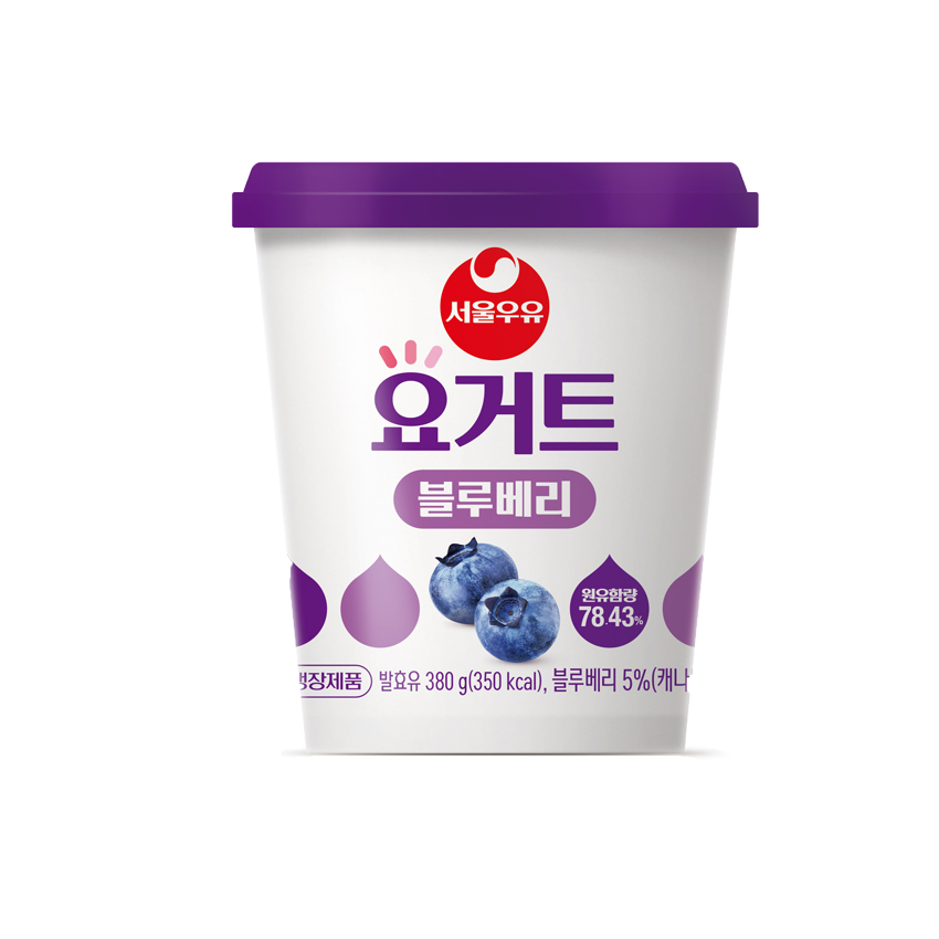 요거트 블루베리