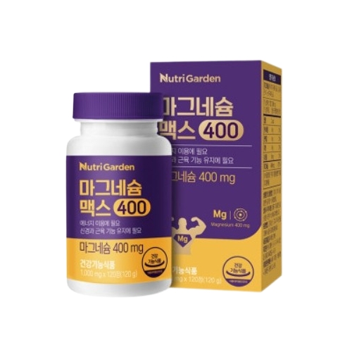 뉴트리가든 마그네슘 맥스400 1000mg x 120정, 1개