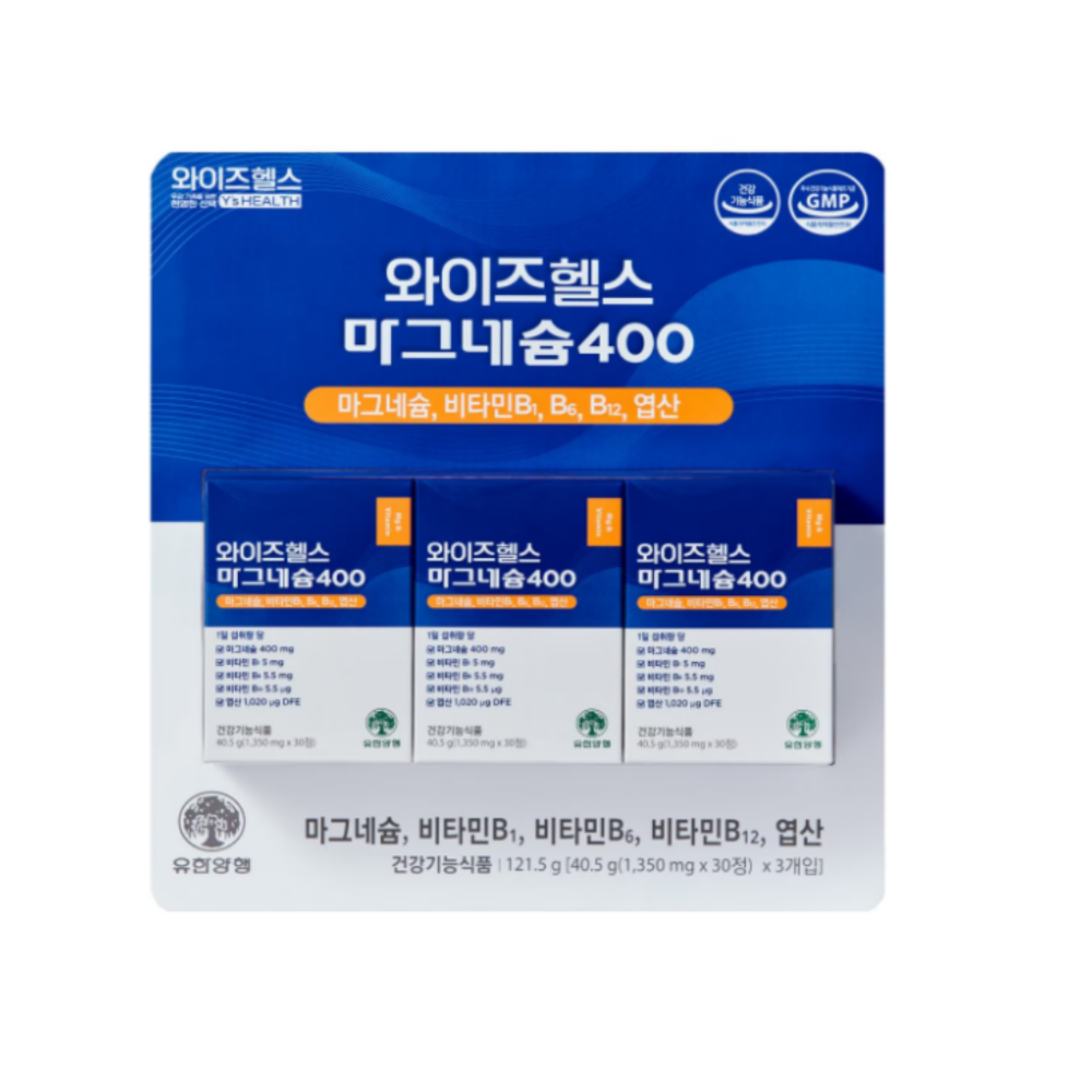 와이즈헬스 마그네슘 400 1350mg x 90정, 1개