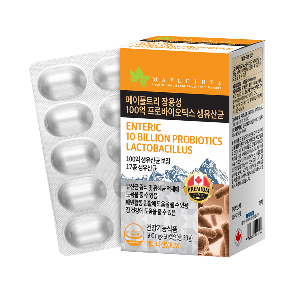 메이플트리 장용성 100억 프로바이틱스 생유산균 500mg x 60캡슐, 1개