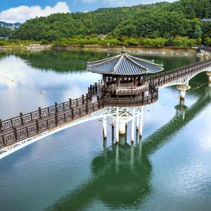 경북 안동 2일 #KTX#경북별미2탄#협곡열차#영주