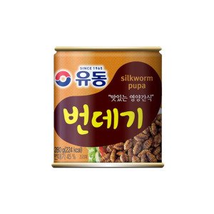 유동 유동 번데기 통조림 280g x 12개