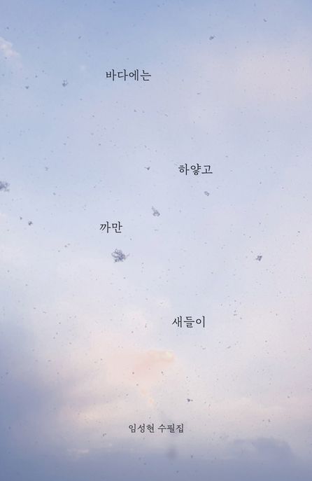바다에는 하얗고 까만 새들이 (임성현 수필집)