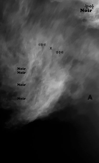 누아(Noir)(타입 에디션) 표지