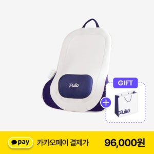 풀리오 등허리 쿠션 마사지기