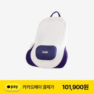 풀리오 등허리 쿠션 마사지기