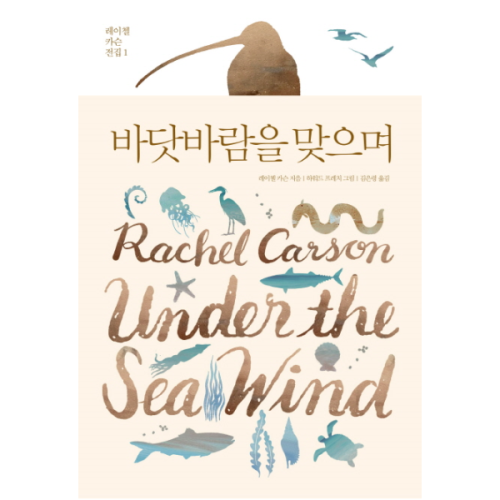 바닷 이미지