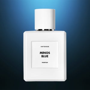 미노스 블루,블루드샤넬 50ml 듀프 클론 카피 재현 타입 저렴이 대체 향수