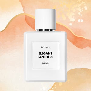 엘레강트 팡테르