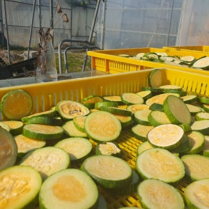 [문경초록마을]  친환경 무농약 건 애호박 100g*2