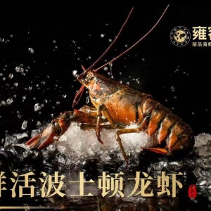 청두 IFS 용롱후이 해산물 뷔페 (해산물 만찬+고급 레스토랑+최고급 서비스+세련된 분위기)