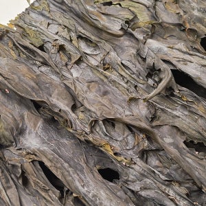 센물살에서 자란 자연산 진도 동거차도 돌미역 (300~400g내외) 1장