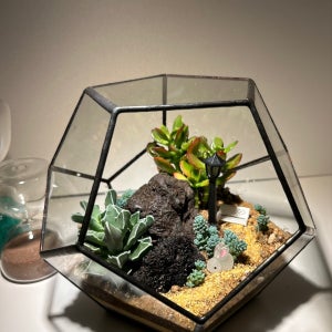 모람  돈을 부르는 다육 테라리움 만들기 DIY, moram_terarium