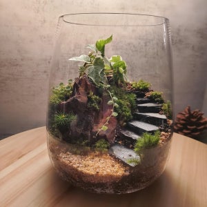 모람  주문제작 행운이 함께하는 사랑 이끼 테라리움, moram_terarium