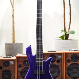 [스펙터 공식대리점/실재고보유] Spector NS Ethos HP 5-Plum Crazy Gloss w/Ebony FB (신품) - W240764