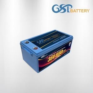 지에스피 리튬인산철 다용도 배터리 LFP 36V 80Ah 3072Wh GSP (국내 생산)