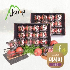 산지애 블랙라벨 사과 6kg (3kg*2박스, 총 16~24과) TV상품