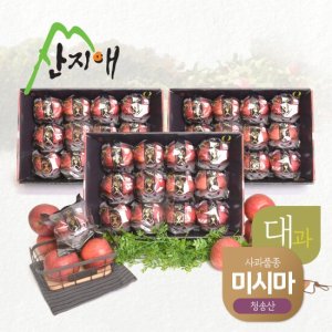 산지애 블랙라벨 사과 9kg (3kg*3박스,총 24~36과) TV상품