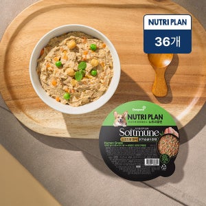 동원 뉴트리플랜 소프트뮨 화식 100g 닭가슴살&야채 x 36개