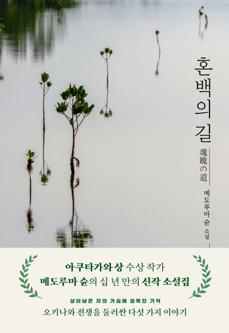 혼백의 길 : 메도루마 슌 소설