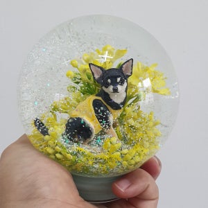 반려동물 스노우볼 (중) 주문제작 , 화봄화-화창한봄날, 화