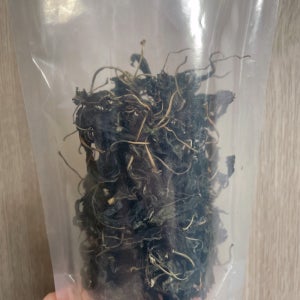 [현재농원] 청결 건고춧잎 건고추잎 30g