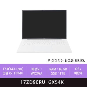 LG전자 그램 17ZD90RU-GX54K 1TB 교체(zoaa)