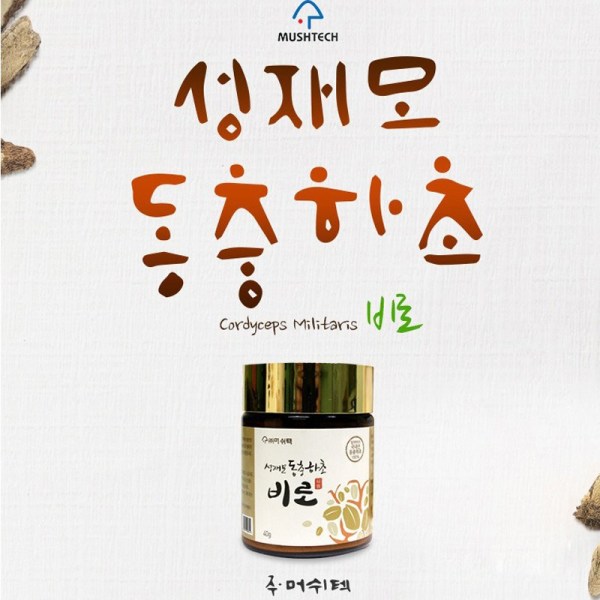 성재모 비로 40g 2개 현미 <b>동충하초</b>