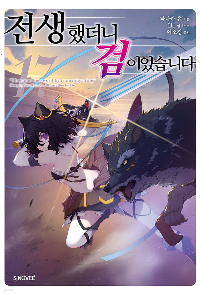 전생했더니 검이었습니다 17 (S Novel+)