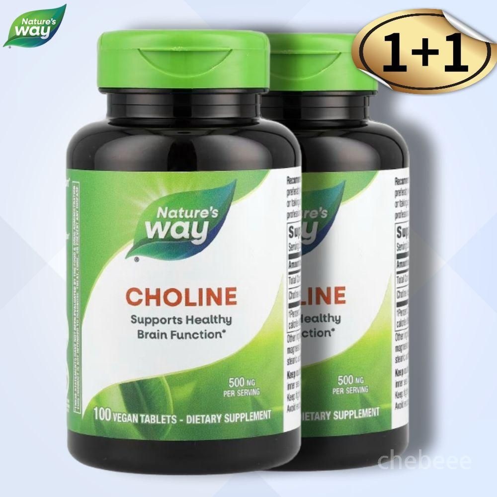 네이처스웨이 콜린 500mg 100정 2병 Choline
