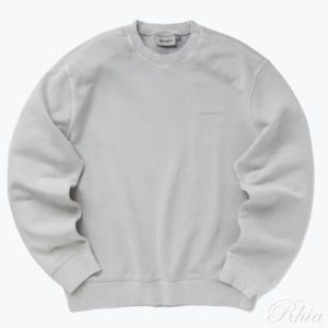 칼하트 윕 더스터 스크립트 스웨트셔츠 I033065 29J GD 스웻셔츠 784704