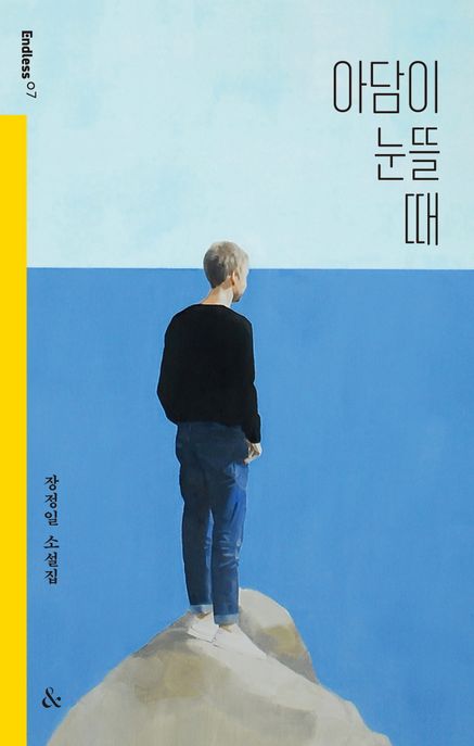 아담이 눈뜰 때 : 장정일 소설집