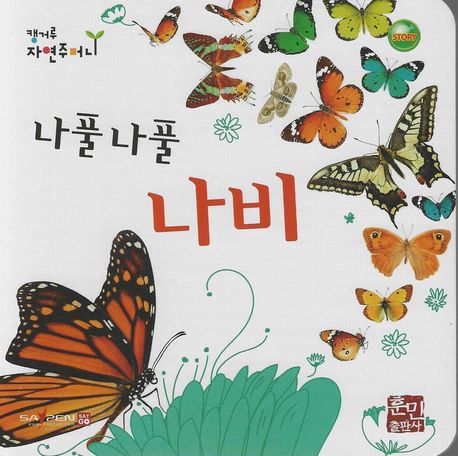 나풀나풀 나비