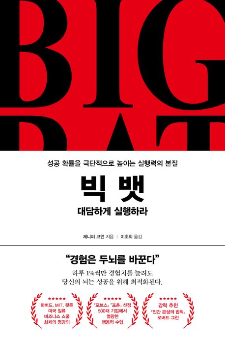 빅 뱃 BIG BAT : 성공 확률을 극단적으로 높이는 실행력의 본질